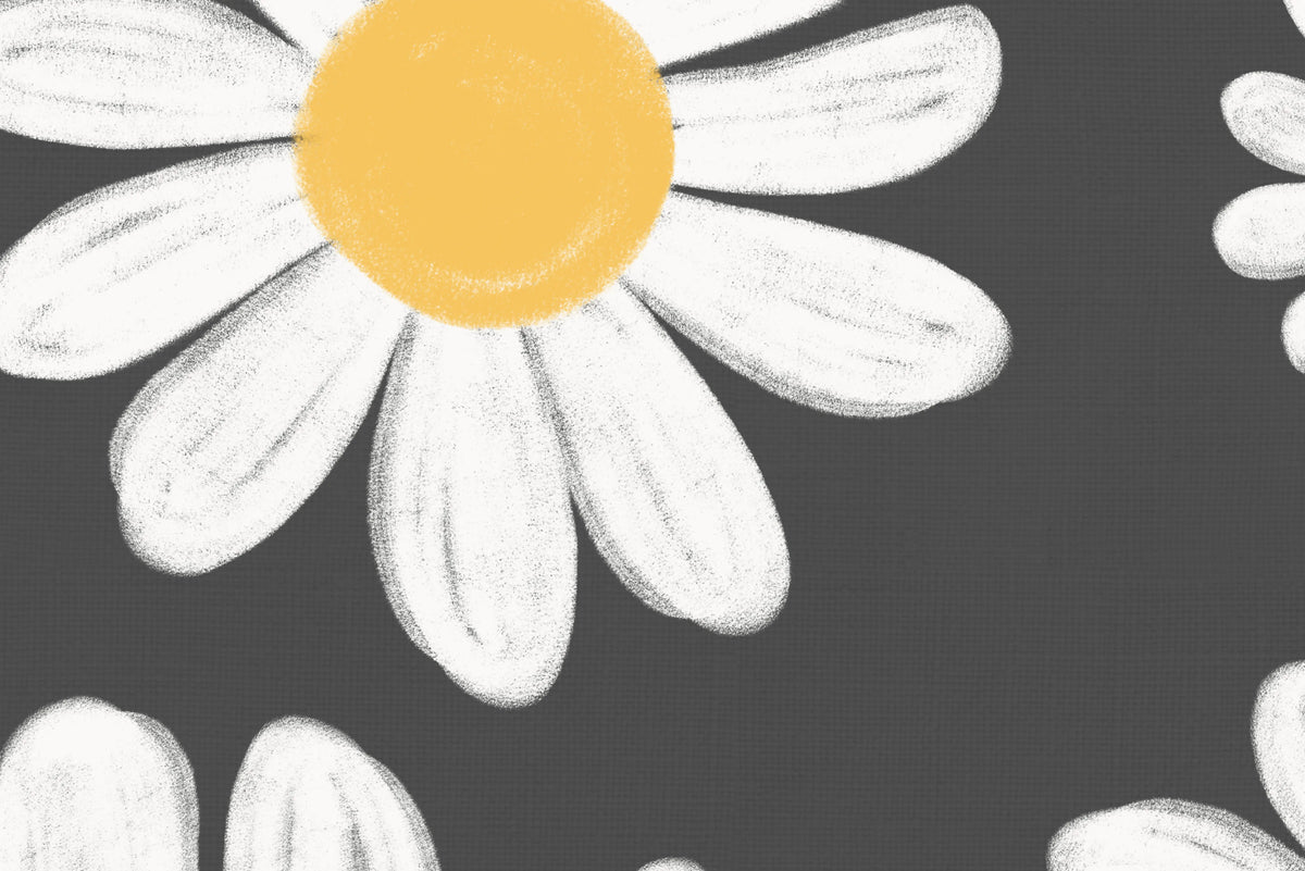 Dashing Daisies, Midnight Mural Wallpaper - room preview 04