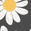 Dashing Daisies, Midnight Mural Wallpaper - room preview 04