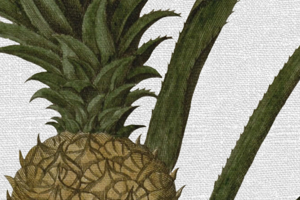 Pineapple Mural Wallpaper - room preview 04