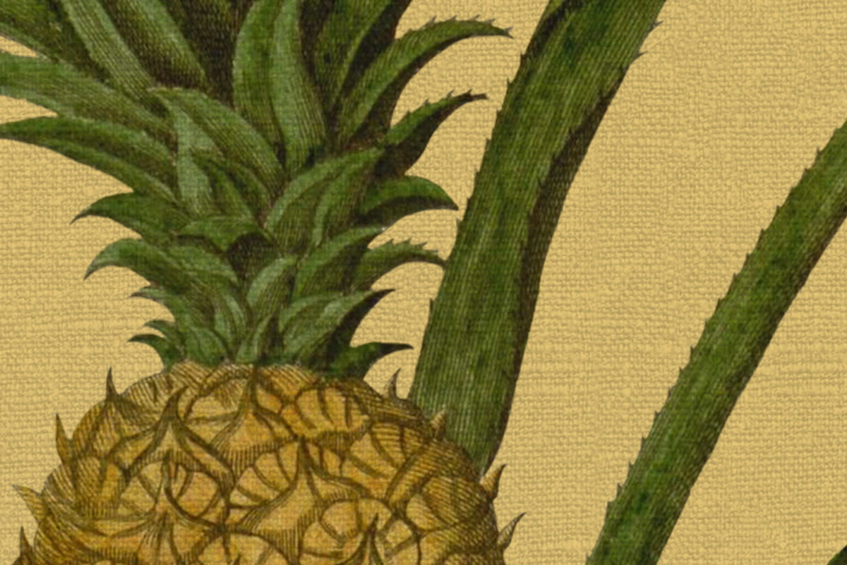 Pineapple, Sunshine Mural Wallpaper - room preview 04