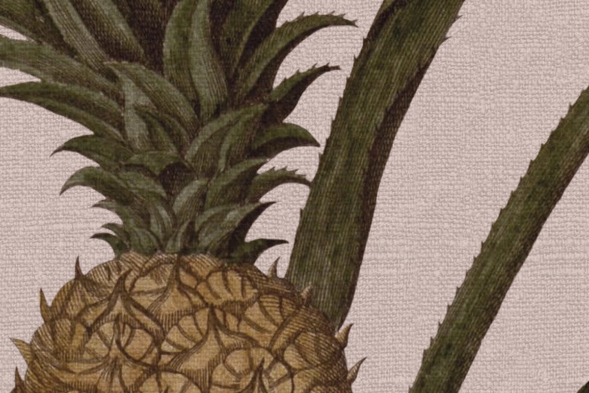 Pineapple, Soft Pink Mural Wallpaper - room preview 04