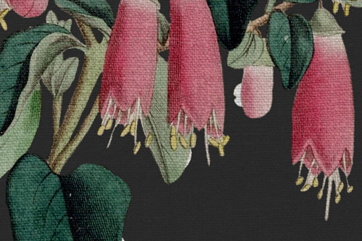 Lotus, Black Mural Wallpaper - room preview 04
