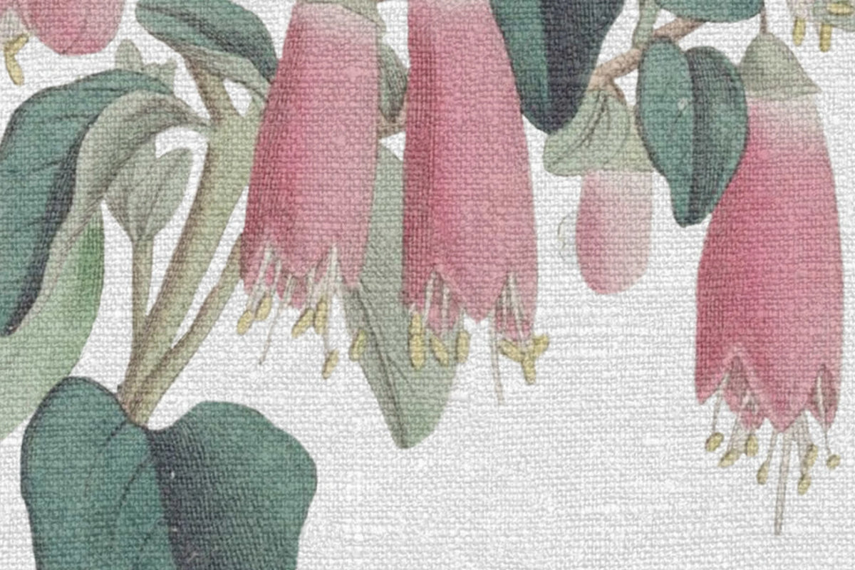 Lotus, Pastel Mural Wallpaper - room preview 04