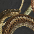 Snakey, Black Mural Wallpaper - room preview 04