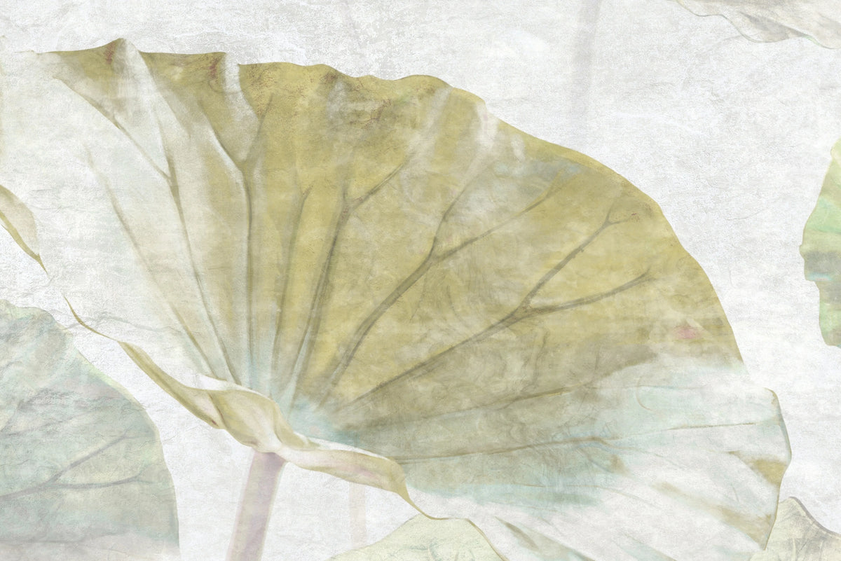 Waterlily Mural Wallpaper - room preview 04