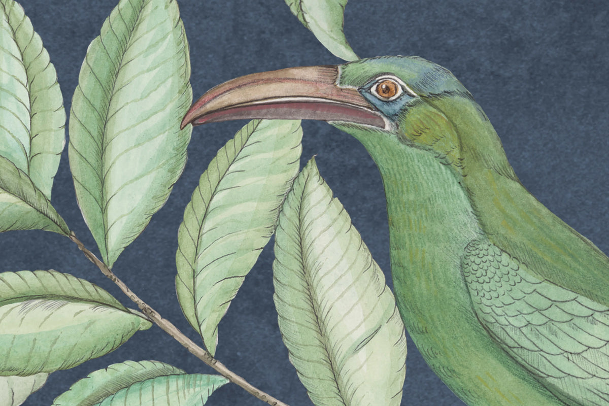 Monkeys Paradise, Dark Blue Mural Wallpaper - room preview 04