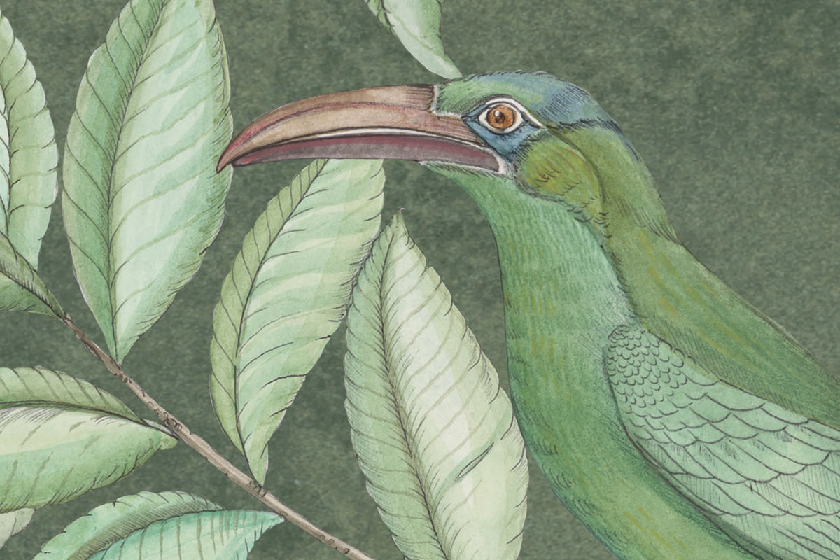 Monkeys Paradise, Sage Green Mural Wallpaper - room preview 04