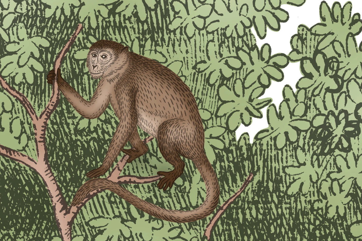 Tropical Bellewood, Monkeys Mural Wallpaper - room preview 04