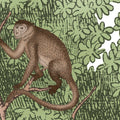 Tropical Bellewood, Monkeys Mural Wallpaper - room preview 04