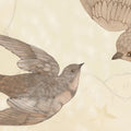 Flying Circus, Sandy White Mural Wallpaper - room preview 04