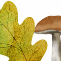 Autumn Meadow, Rainbow Mural Wallpaper - room preview 04