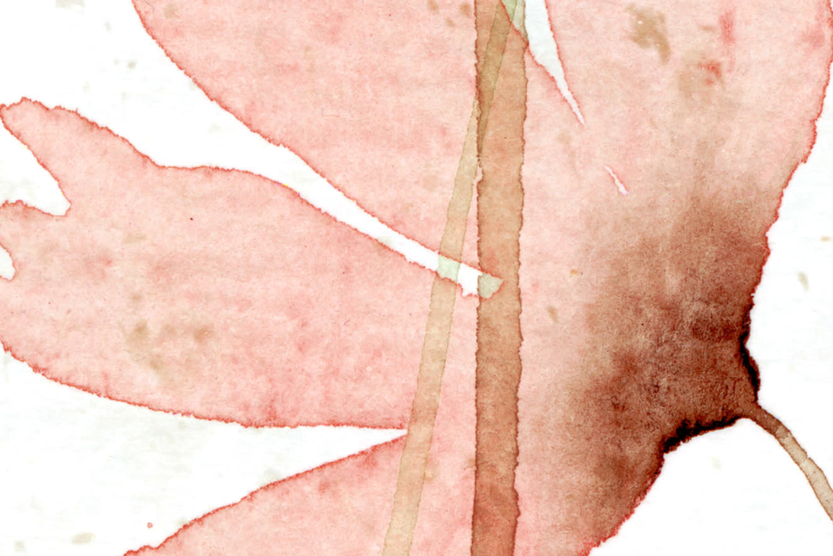 Dreamy Meadow, Red Mural Wallpaper - room preview 04
