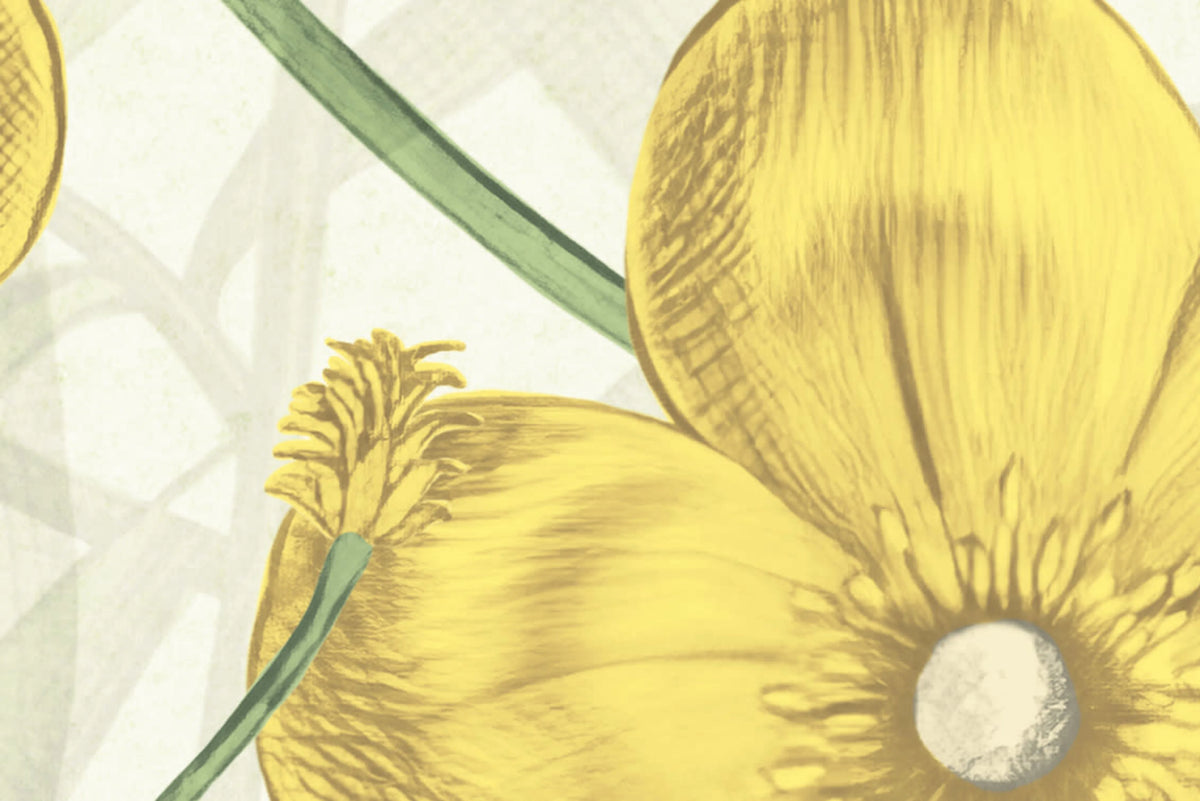 Vintage Buttercups, Yellow Mural Wallpaper - room preview 04