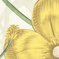 Vintage Buttercups, Yellow Mural Wallpaper - room preview 04
