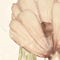 Bloomy Fields of Marion, Off White Mural Wallpaper - room preview 04