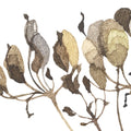 Dried Flower Meadow, Beige Mural Wallpaper - room preview 04