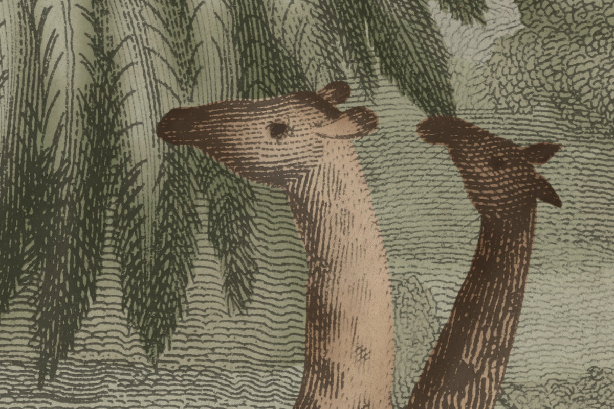 Giraffe Savannah, Green Mural Wallpaper - room preview 04