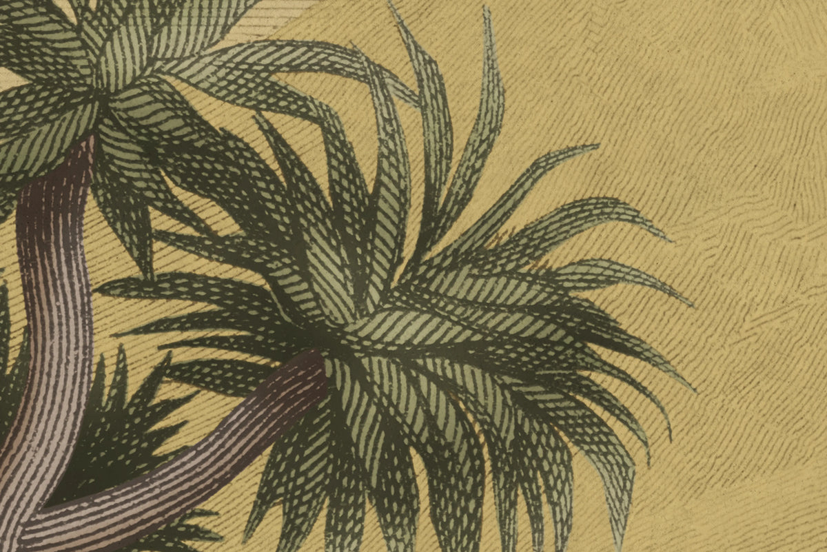 Giraffe Savannah, Yellow Mural Wallpaper - room preview 04