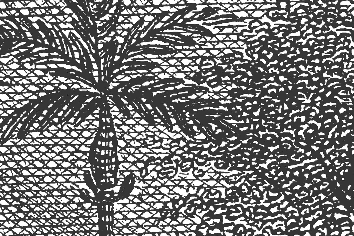 Palm Beach, Black & White Mural Wallpaper - room preview 04