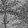 Palm Beach, Black & White Mural Wallpaper - room preview 04