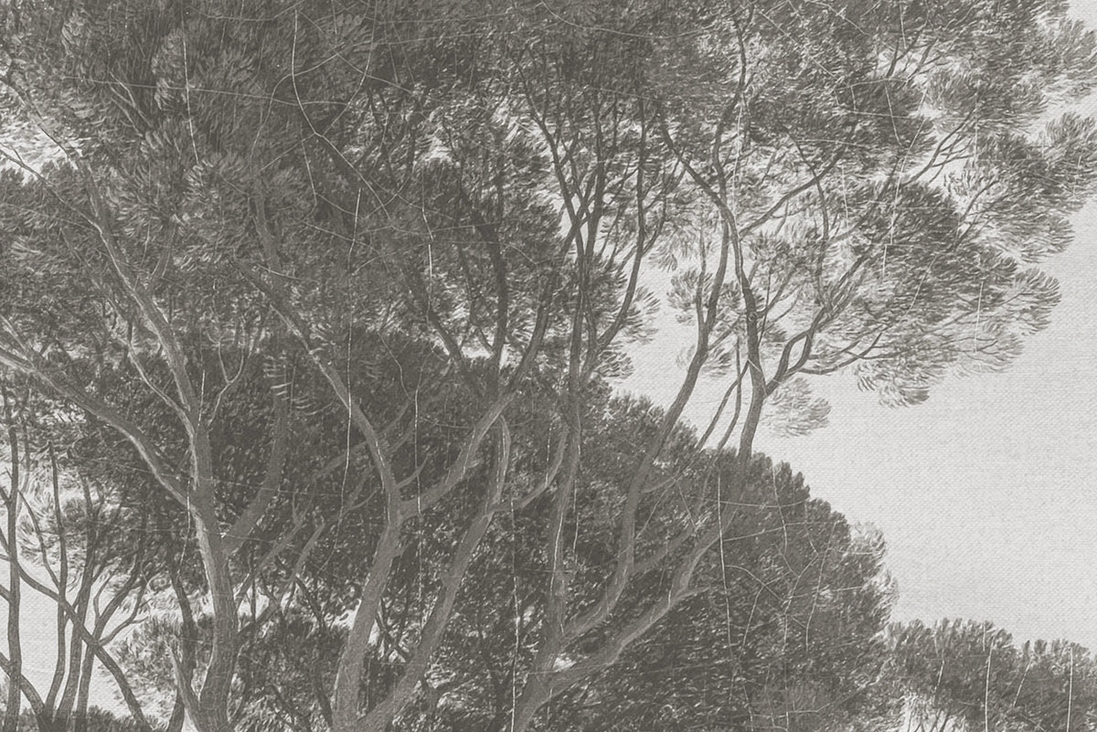 Pine Wood, Gray Mural Wallpaper - room preview 04