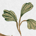 Songbird Mural, White Mural Wallpaper - room preview 04