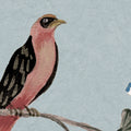 Songbird Mural, Blue Mural Wallpaper - room preview 04