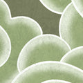 Kumo, Green Mural Wallpaper - room preview 04