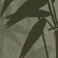 Bambusa, Green Mural Wallpaper - room preview 04