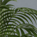 Palm Stripes, Green Mural Wallpaper - room preview 04