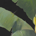 Banana Leaf, Black Mural Wallpaper - room preview 04