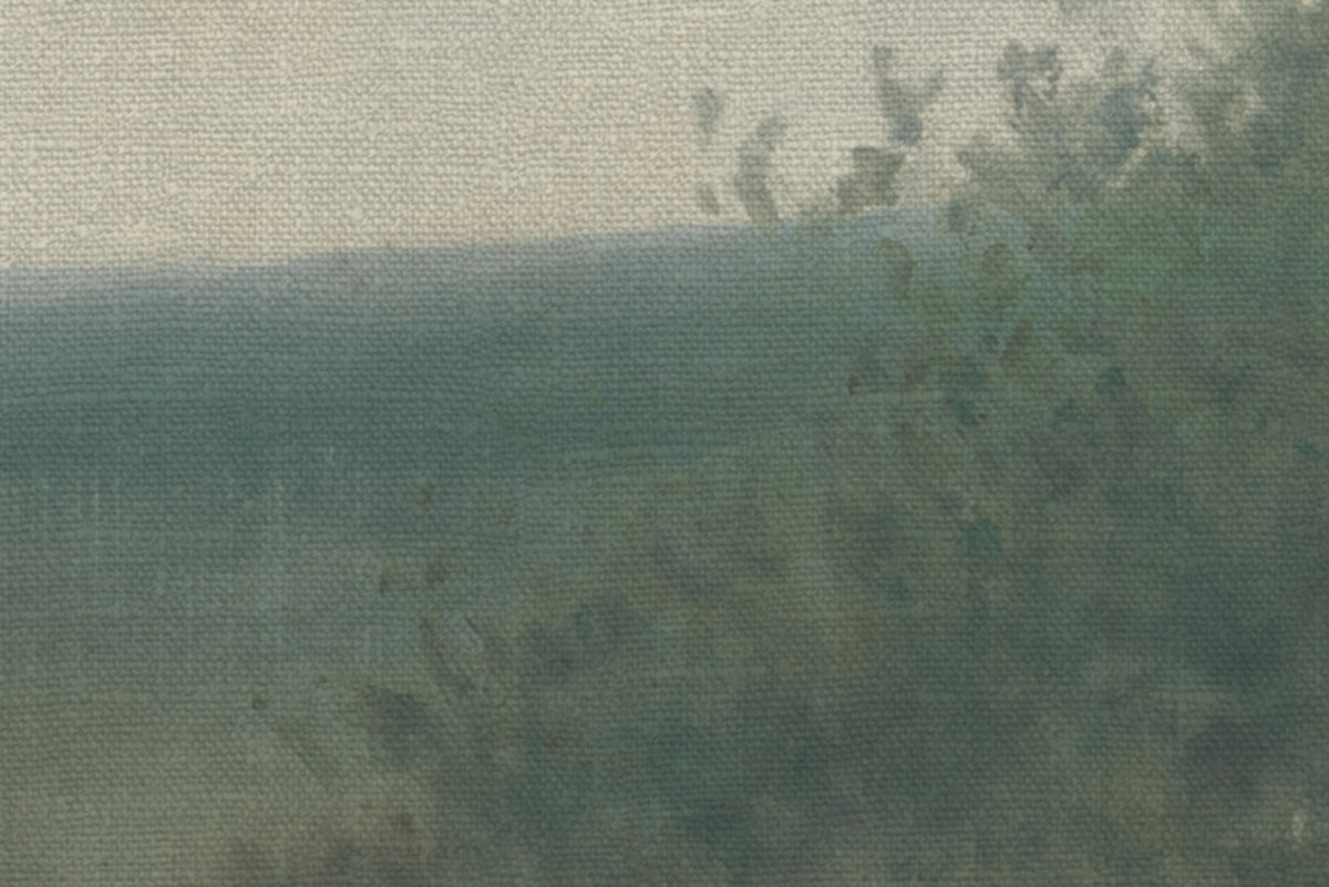 Poppy Landscape, Dawn Mural Wallpaper - room preview 04