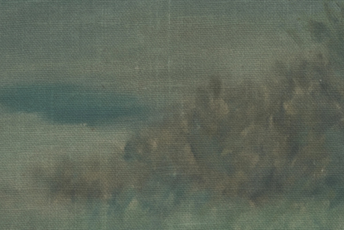 Poppy Landscape, Dusk Mural Wallpaper - room preview 04