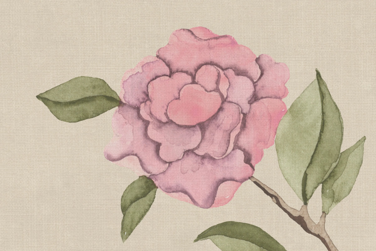 Chinoiserie Botanica, Pink Mural Wallpaper - room preview 04
