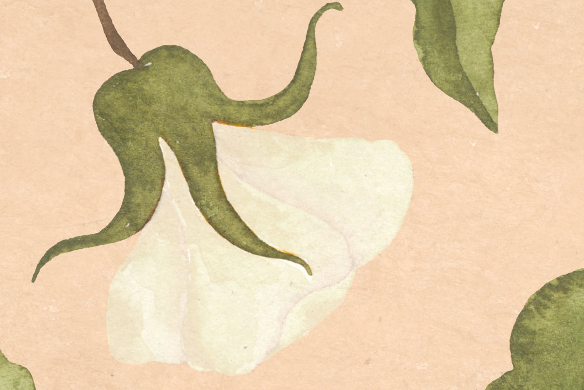 Soft Vines, Pink Mural Wallpaper - room preview 04