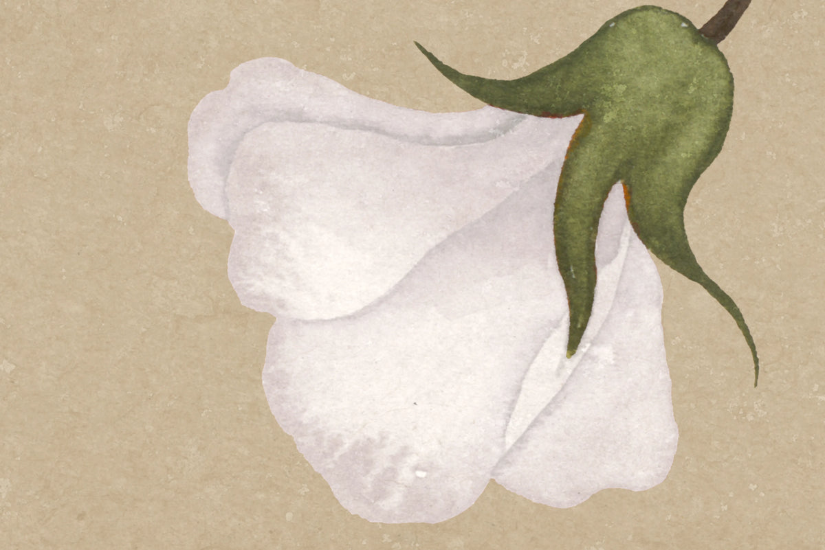 Soft Vines, Beige Mural Wallpaper - room preview 04