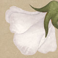 Soft Vines, Beige Mural Wallpaper - room preview 04