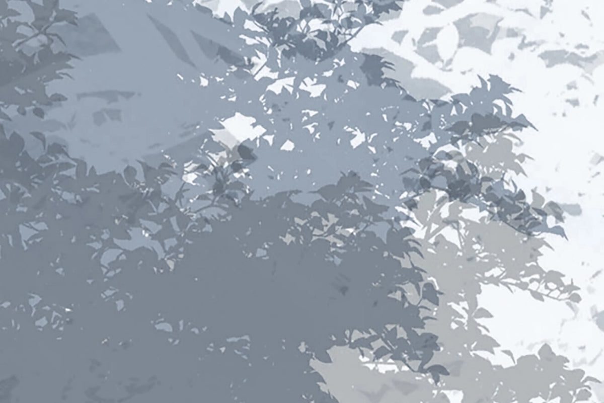Silent Woods, Frost Mural Wallpaper - room preview 04