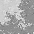 Silent Woods, Nightfall Mural Wallpaper - room preview 04