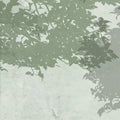 Silent Woods, Summer Mural Wallpaper - room preview 04