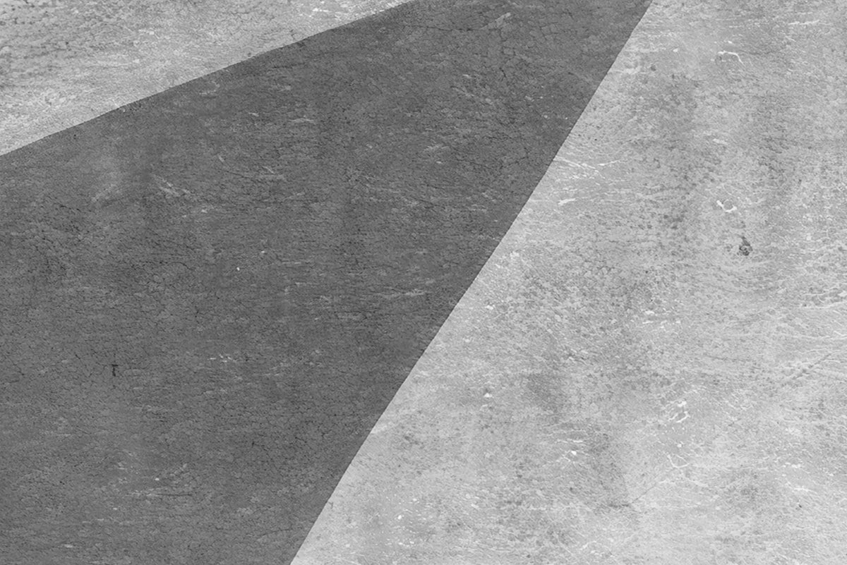 Hidden Oasis, Charcoal Mural Wallpaper - room preview 04