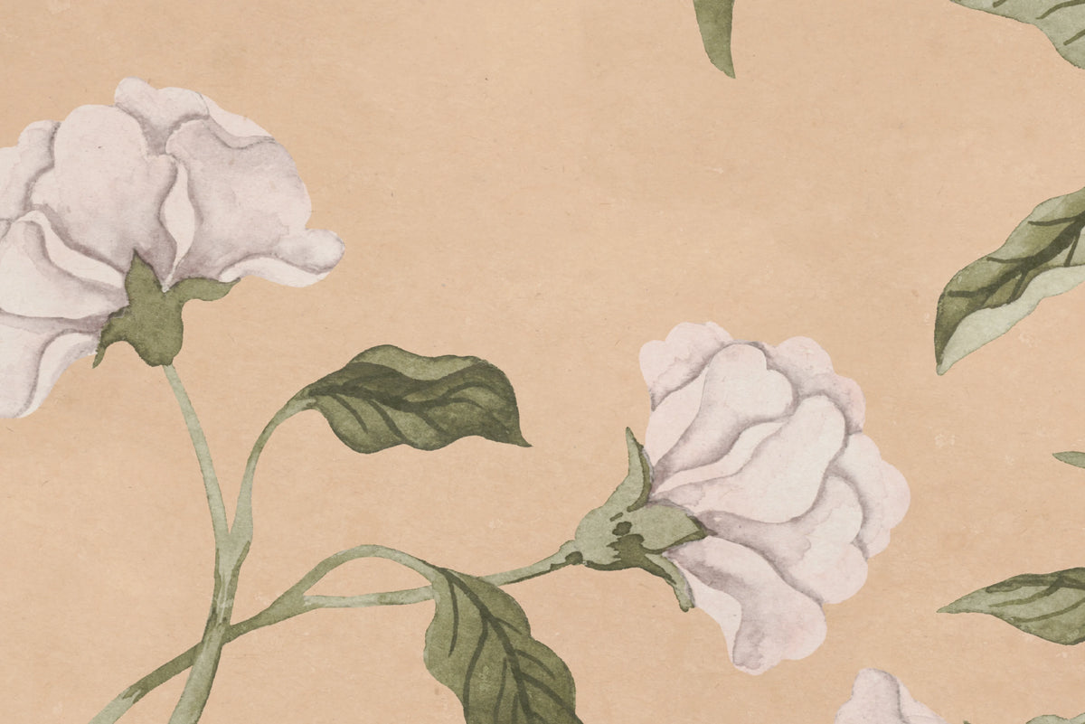 Peony Bloom, Peach Mural Wallpaper - room preview 04