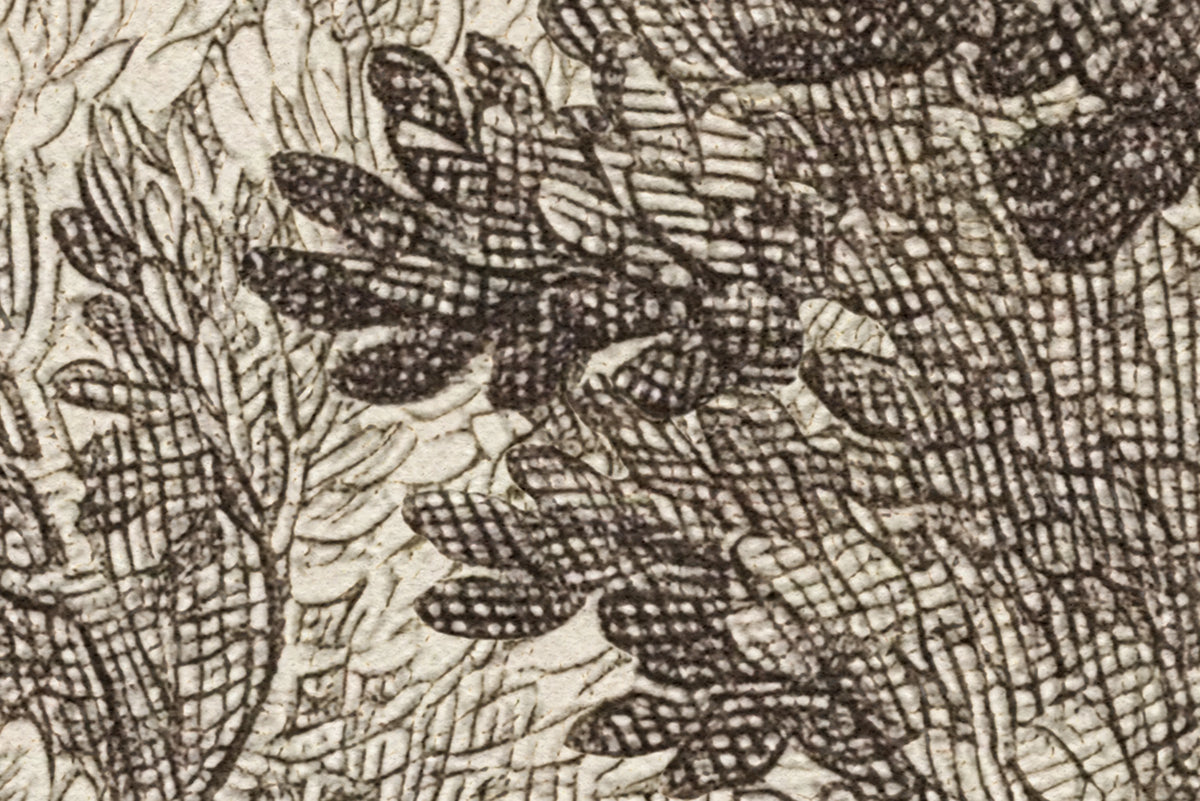 Forest Engraving, Vintage Mural Wallpaper - room preview 04