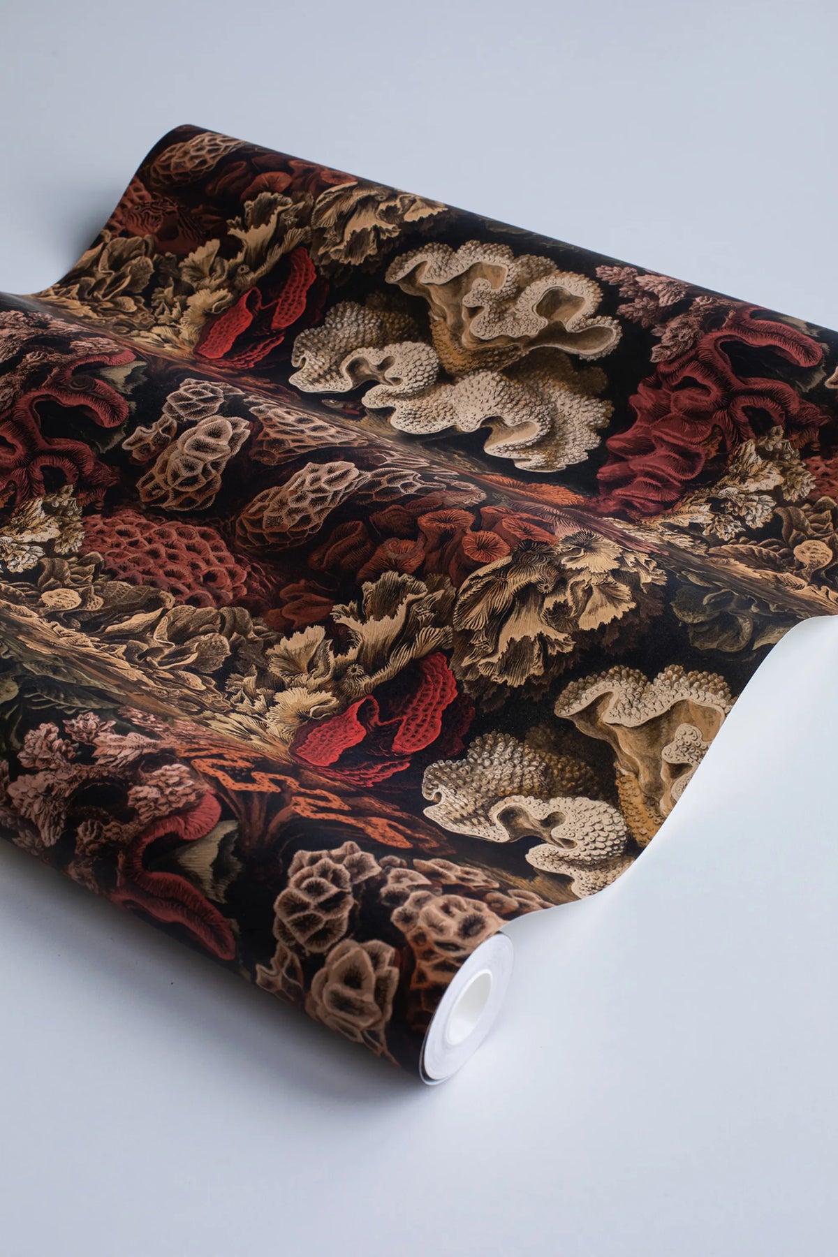 Aquila, Rust Mural Wallpaper - room preview 04