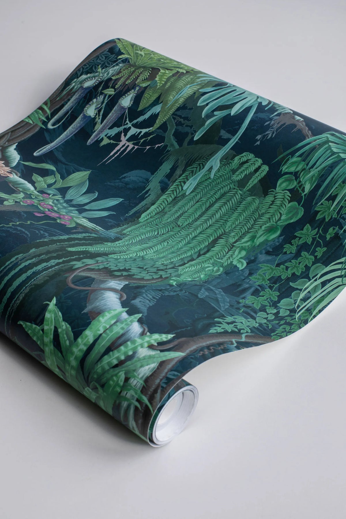 Madagascar, Teal Mural Wallpaper - room preview 04