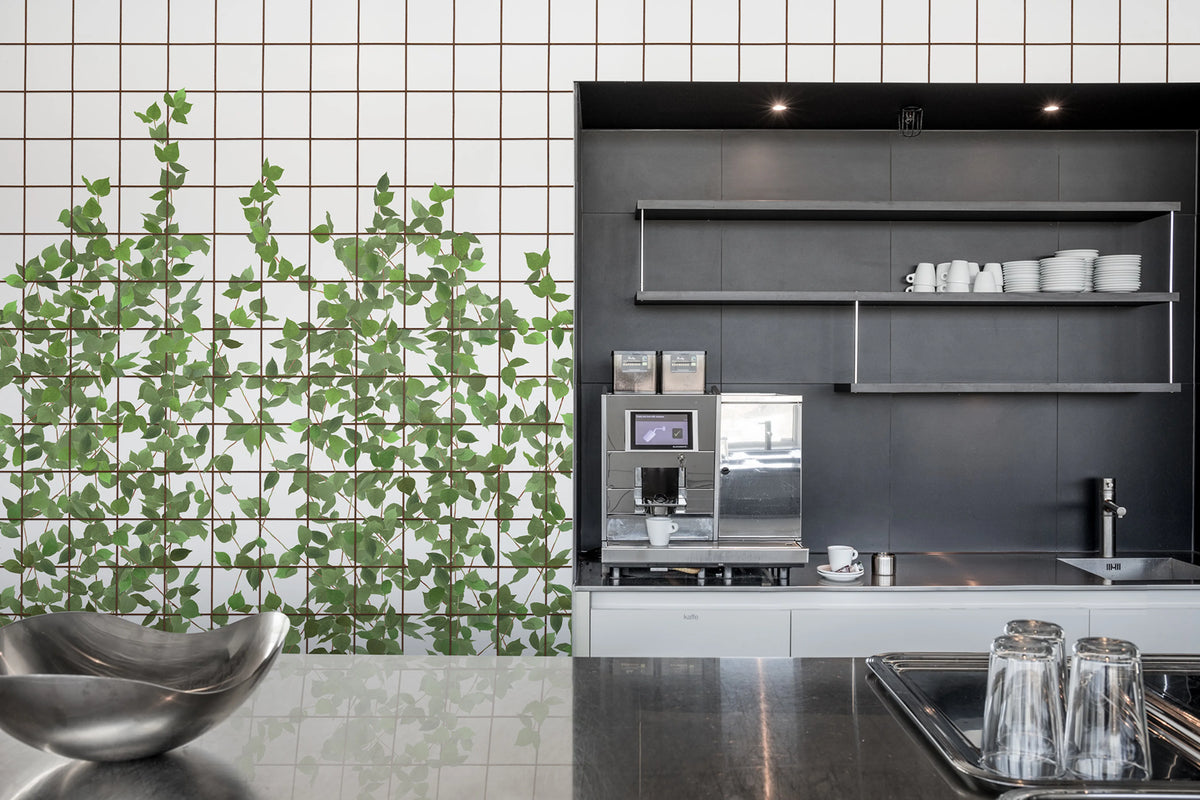 Climbing Clorofyl Mural Wallpaper - room preview 04