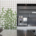 Climbing Clorofyl Mural Wallpaper - room preview 04
