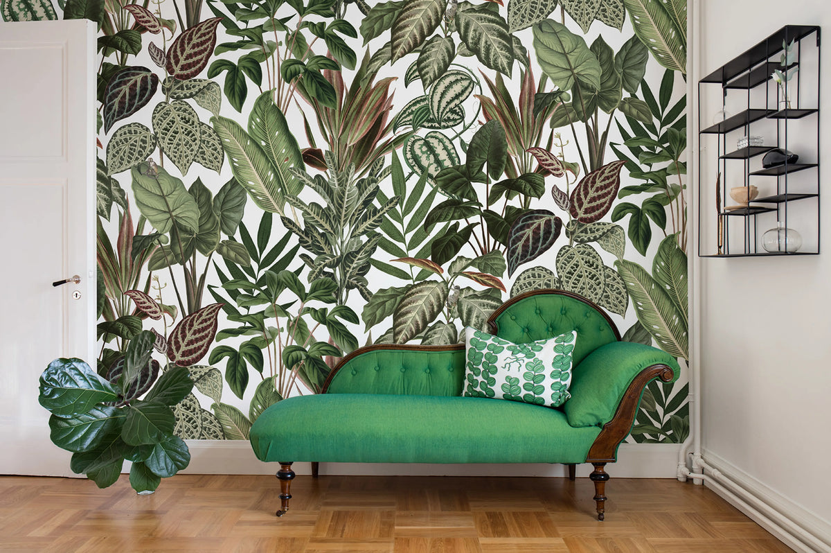 Mischievous Monkeys Mural Wallpaper - room preview 04