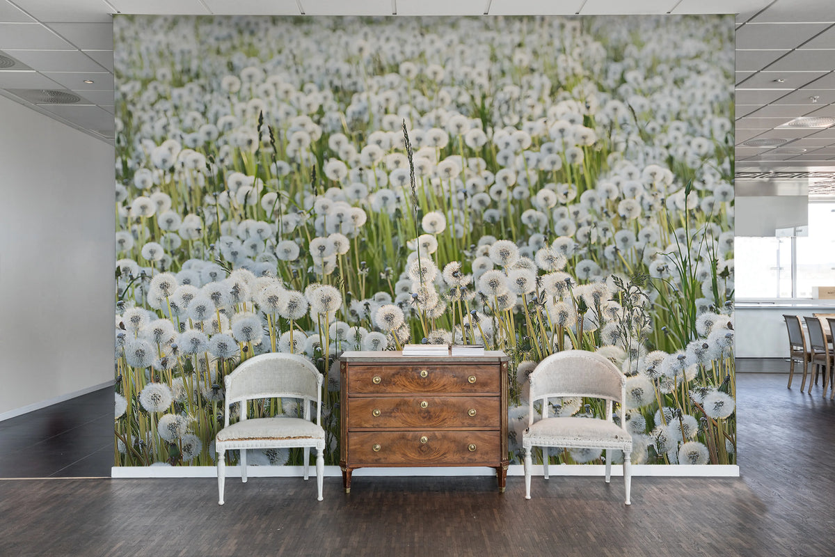 Dandelions Mural Wallpaper - room preview 04