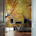 Autumn Canopy Glow Mural Wallpaper - room preview 05